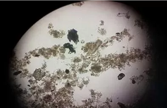 1553304678853337.png blob.png